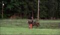 dr dolittle 3-avi_1000_038.jpg